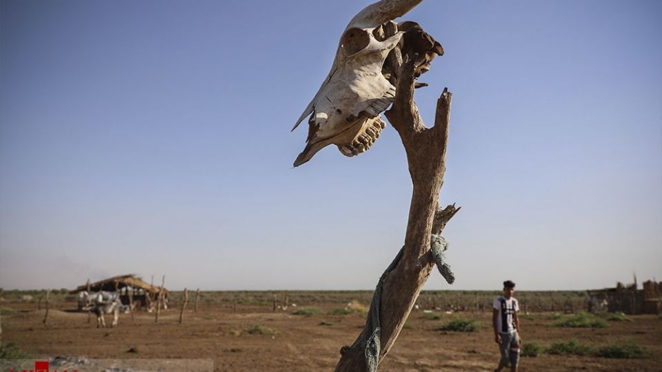 هورالعظیم در اغما