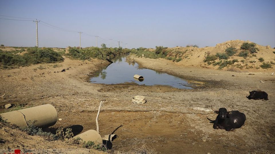 هورالعظیم در اغما