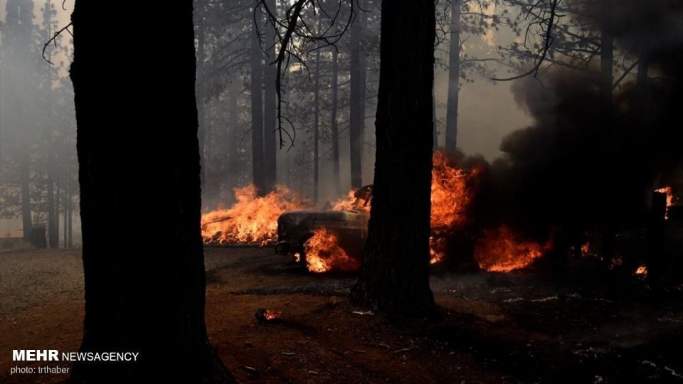 آتش سوزی گسترده در کالیفرنیا