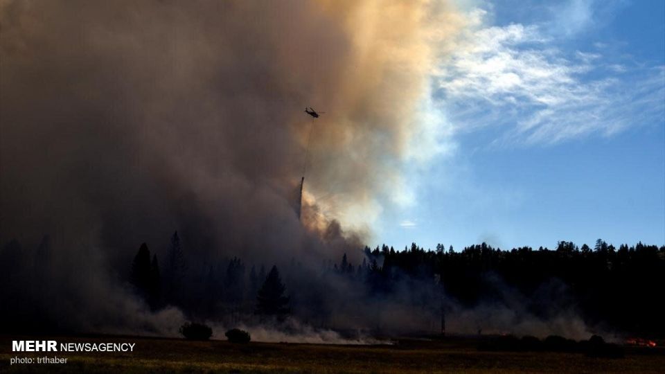 آتش سوزی گسترده در کالیفرنیا