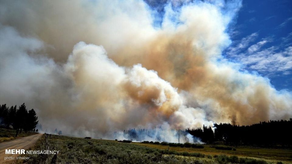 آتش سوزی گسترده در کالیفرنیا