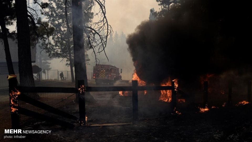 آتش سوزی گسترده در کالیفرنیا