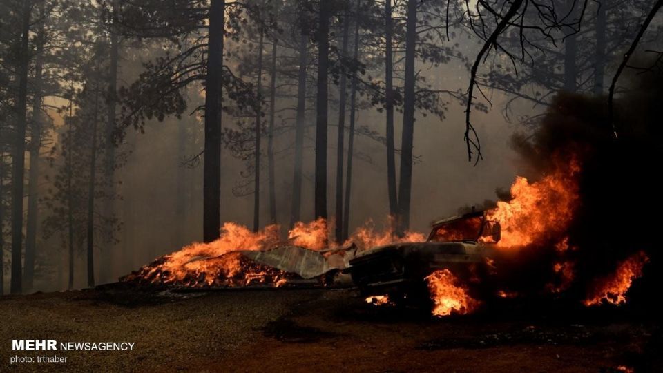 آتش سوزی گسترده در کالیفرنیا