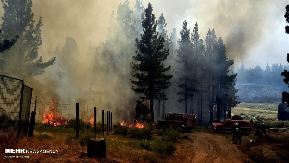 آتش سوزی گسترده در کالیفرنیا