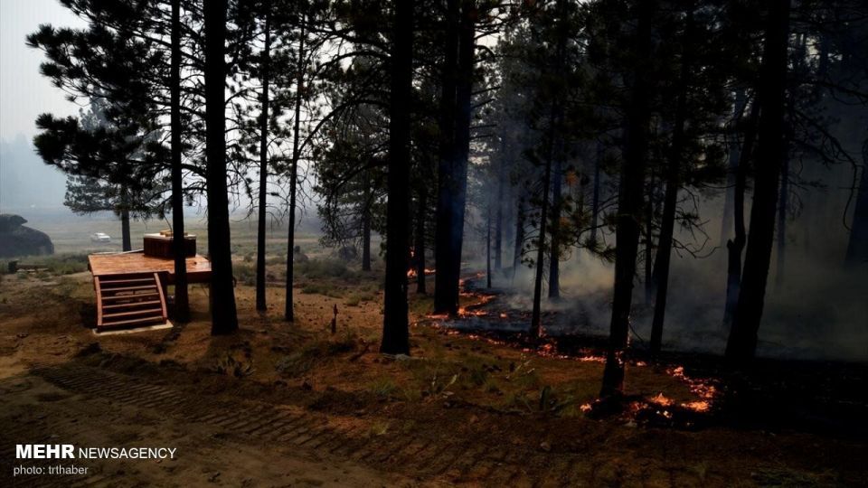 آتش سوزی گسترده در کالیفرنیا