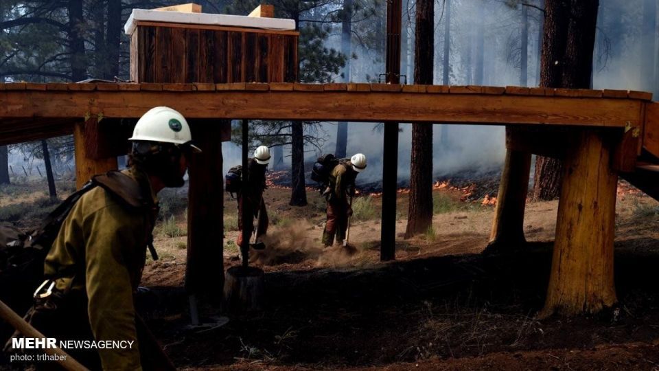 آتش سوزی گسترده در کالیفرنیا