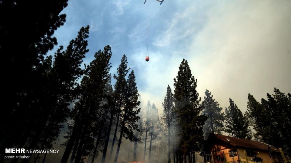 آتش سوزی گسترده در کالیفرنیا