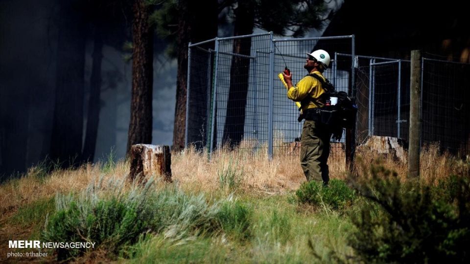 آتش سوزی گسترده در کالیفرنیا