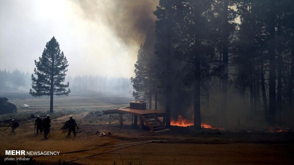 آتش سوزی گسترده در کالیفرنیا