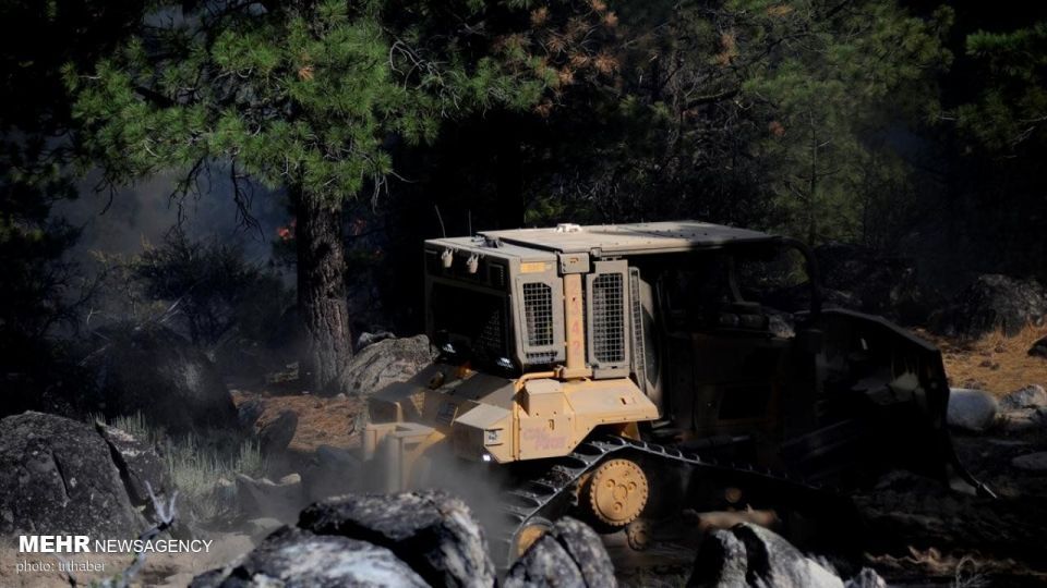 آتش سوزی گسترده در کالیفرنیا