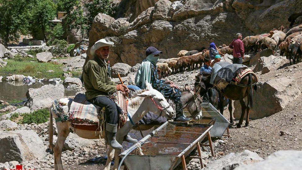 شست وشوی گوسفند‌ان - کلات