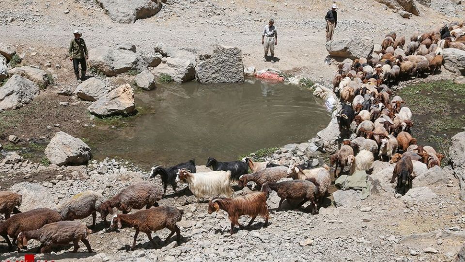 شست وشوی گوسفند‌ان - کلات