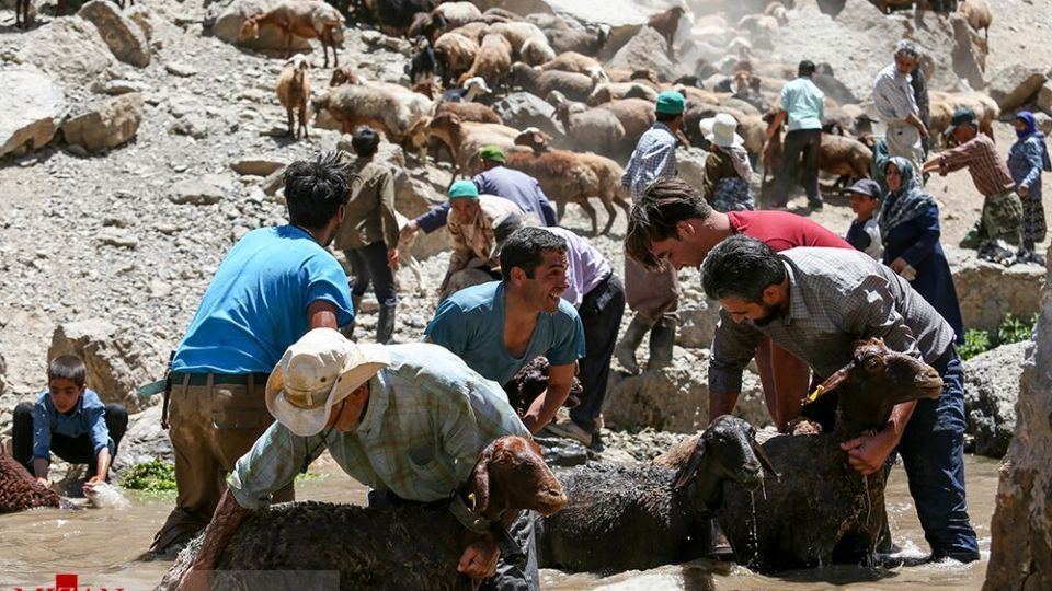 شست وشوی گوسفند‌ان - کلات