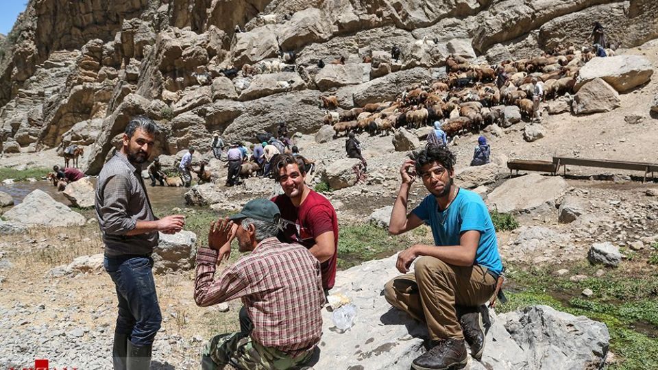 شست وشوی گوسفند‌ان - کلات