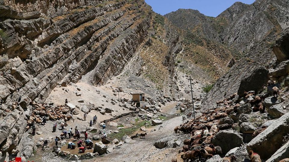 شست وشوی گوسفند‌ان - کلات