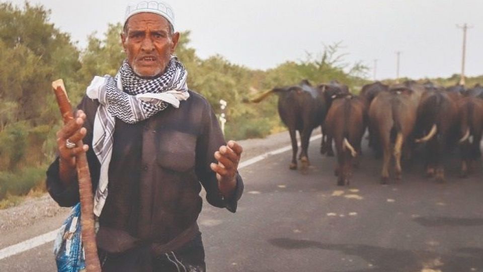 مشکل بزرگ خوزستان نامهربانی اقلیم نیست، افتضاح مدیریتی است