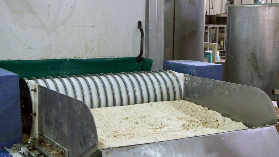 اردکان قطب تولید محصولات کنجدی کشور