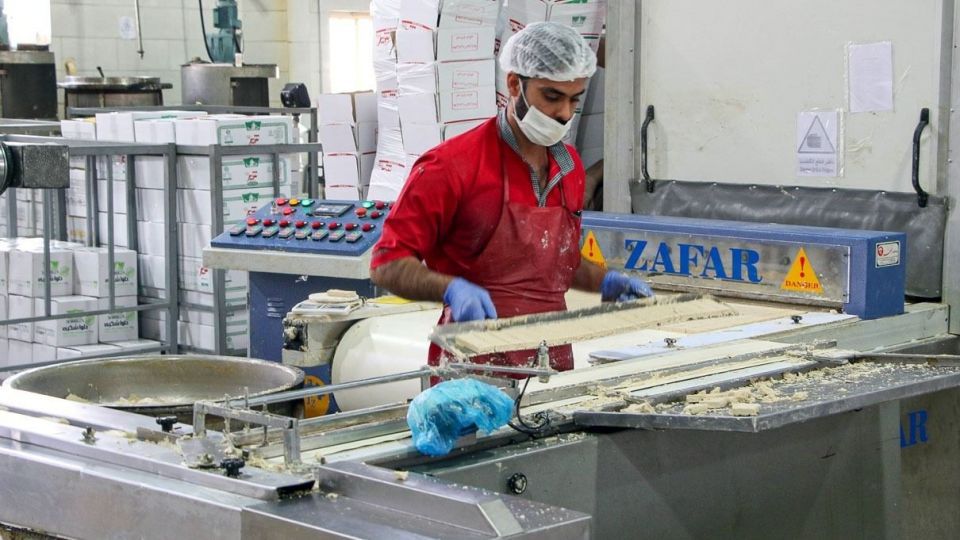 اردکان قطب تولید محصولات کنجدی کشور