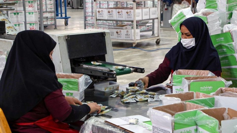 اردکان قطب تولید محصولات کنجدی کشور