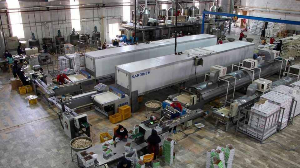 اردکان قطب تولید محصولات کنجدی کشور