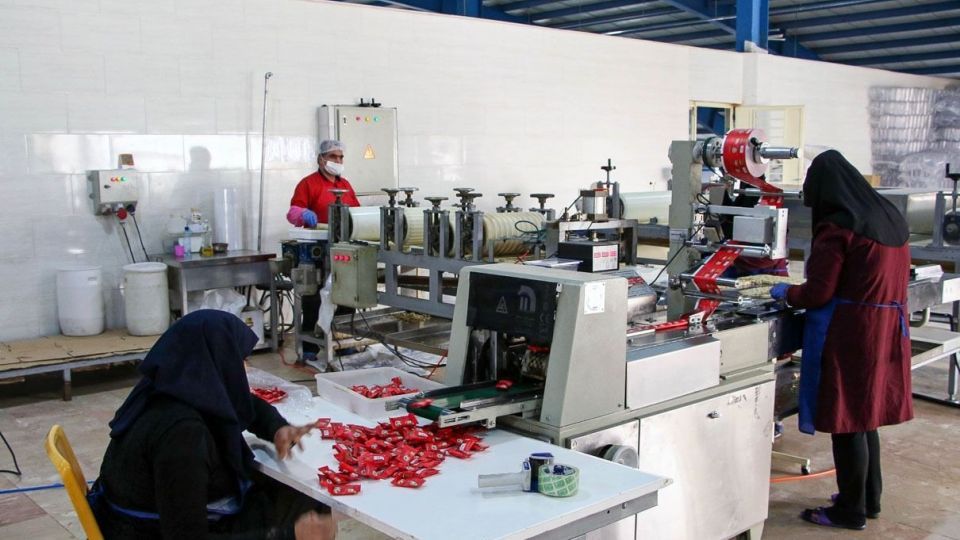 اردکان قطب تولید محصولات کنجدی کشور