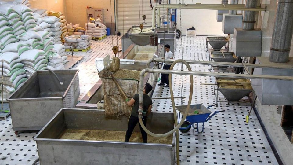 اردکان قطب تولید محصولات کنجدی کشور