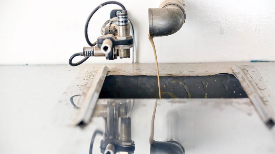 اردکان قطب تولید محصولات کنجدی کشور