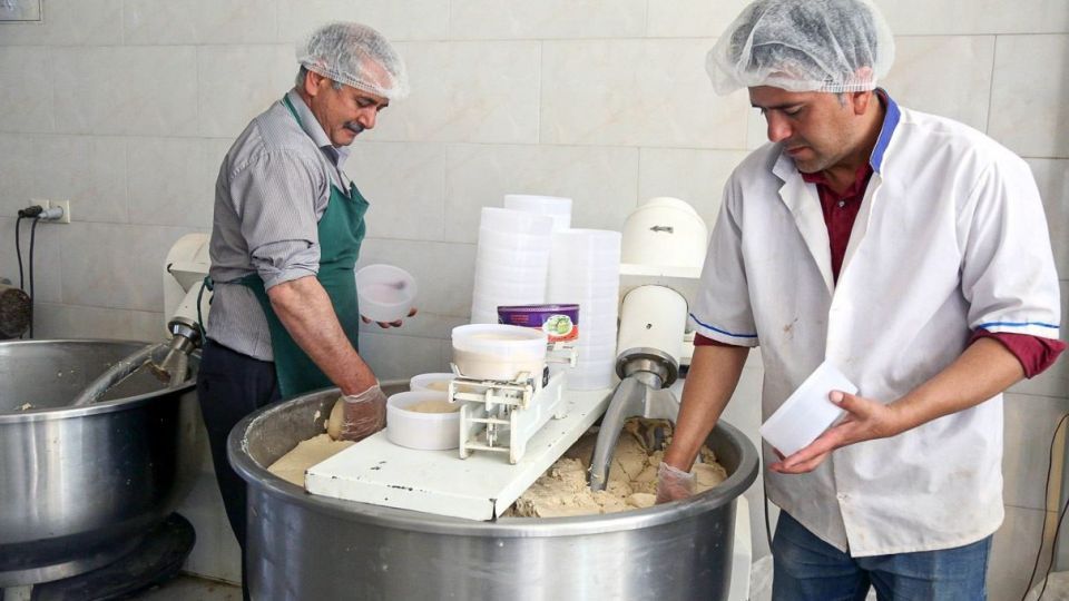 اردکان قطب تولید محصولات کنجدی کشور