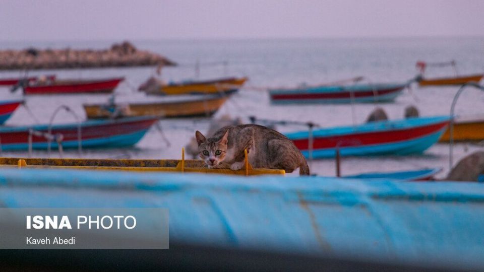 «خور خان»؛ شش سال انتظار، تنها برای یک اسکله