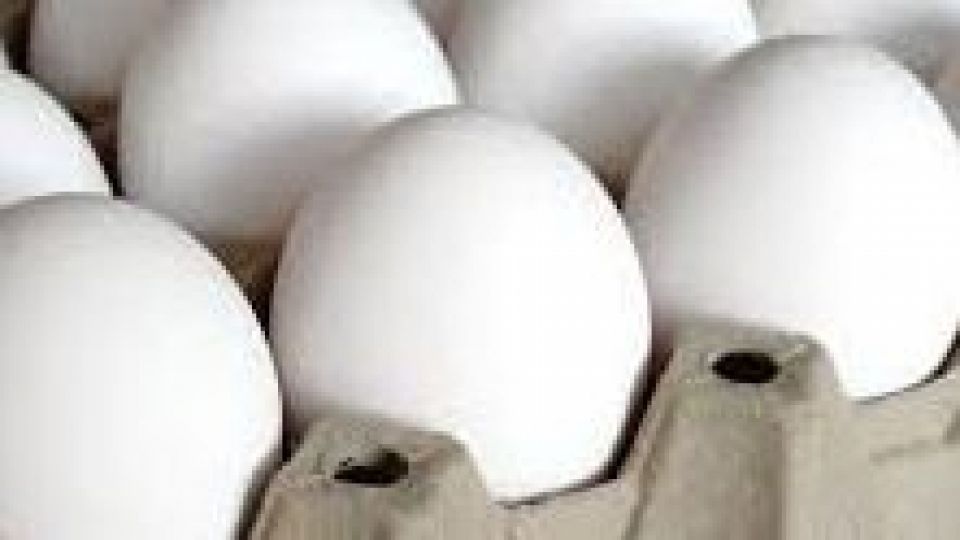 آیا تخم مرغ گران می‌شود؟