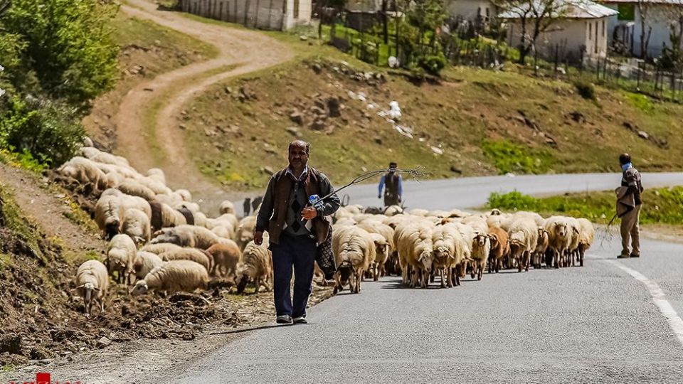 جاده اسالم به خلخال
