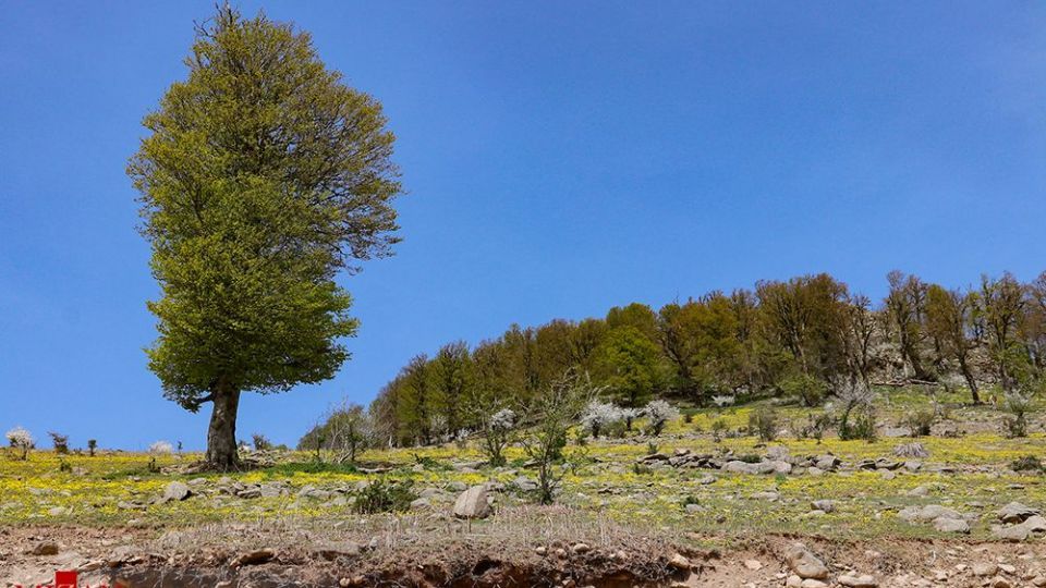 جاده اسالم به خلخال