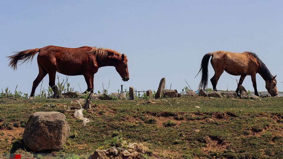 جاده اسالم به خلخال