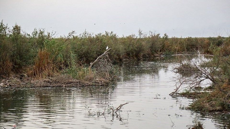 بازگشت آب به منطقه میسان - خوزستان