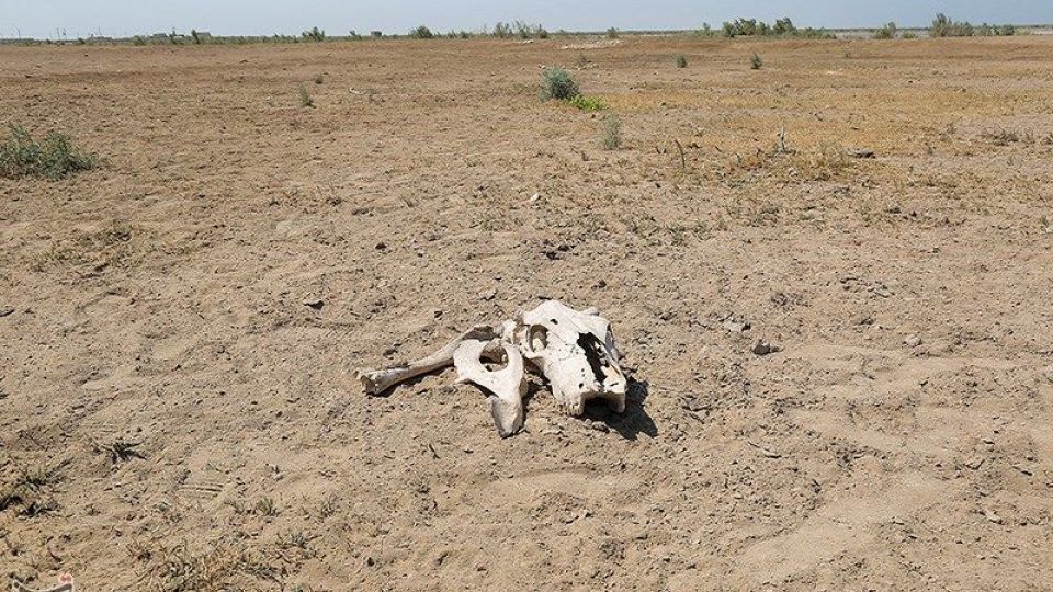 بازگشت آب به منطقه میسان - خوزستان