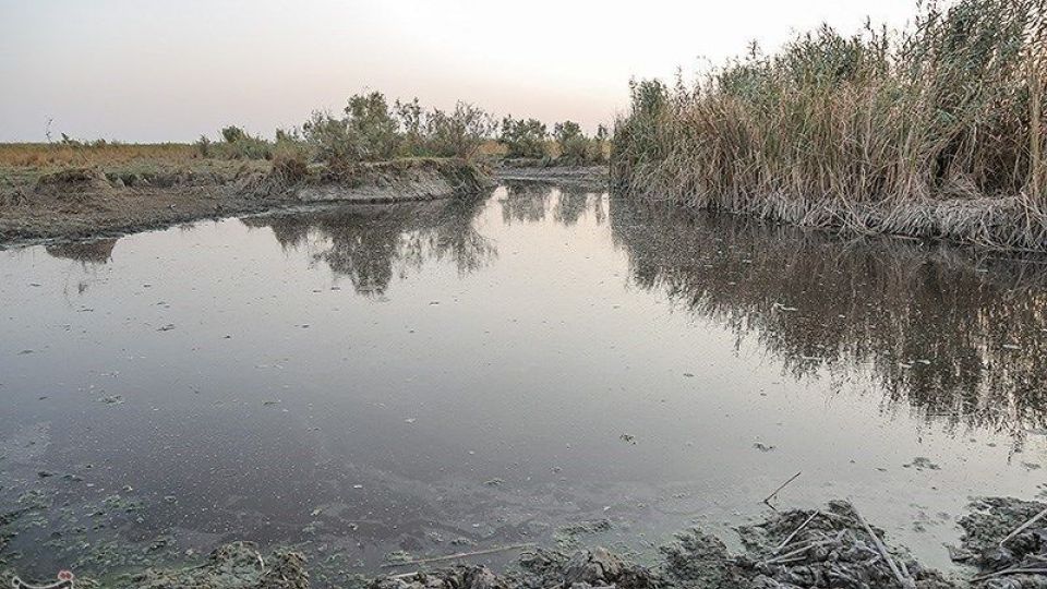 بازگشت آب به منطقه میسان - خوزستان
