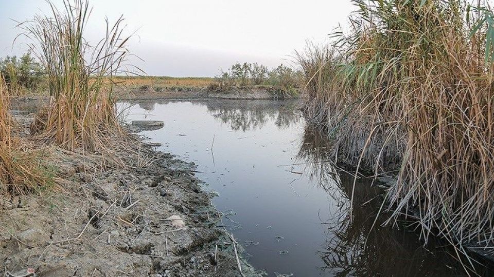 بازگشت آب به منطقه میسان - خوزستان