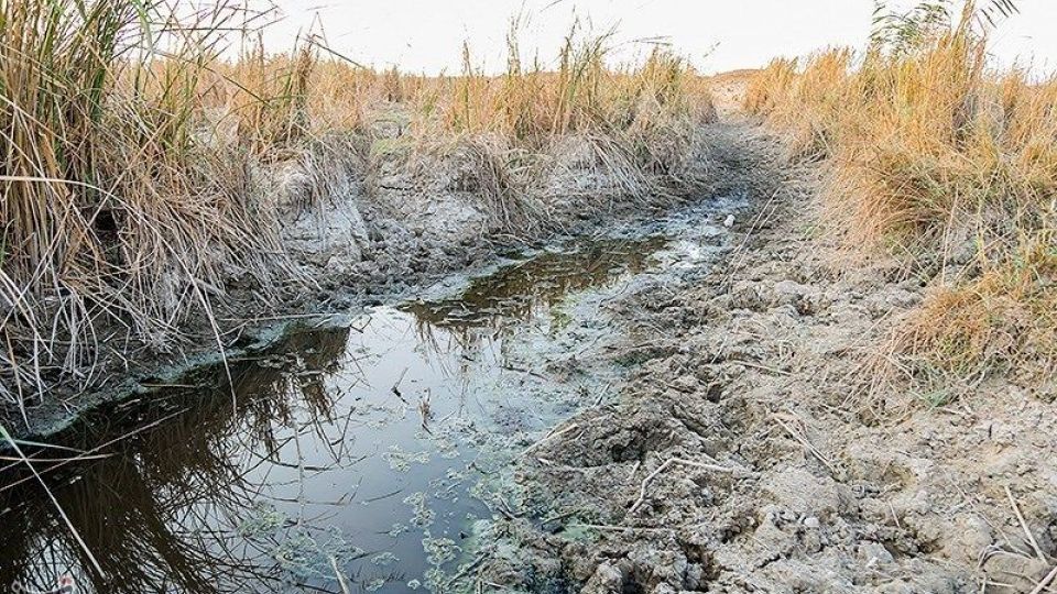بازگشت آب به منطقه میسان - خوزستان