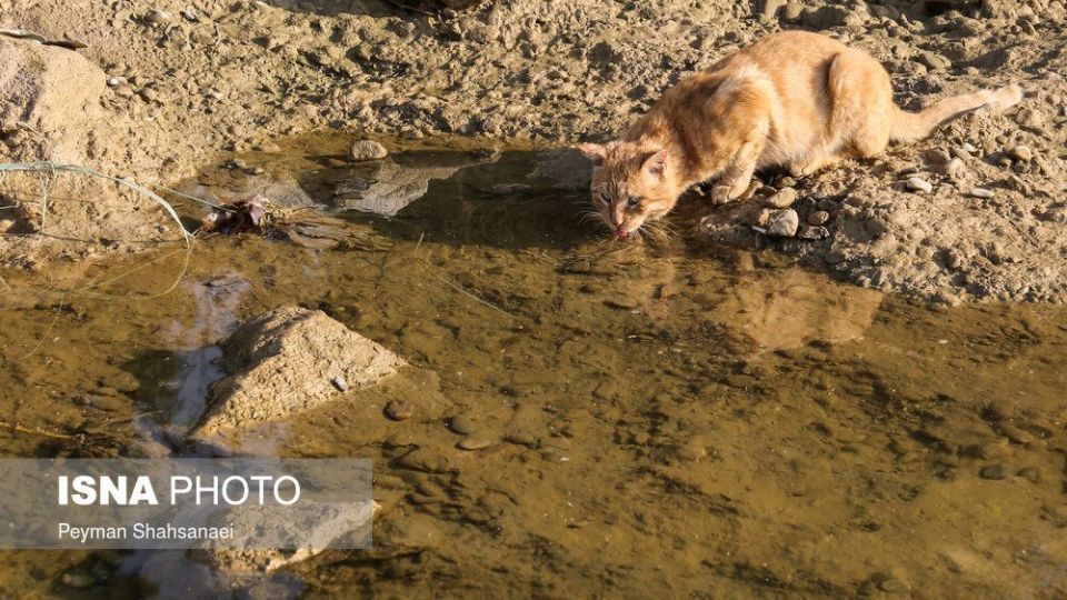 بدرود زاینده رود