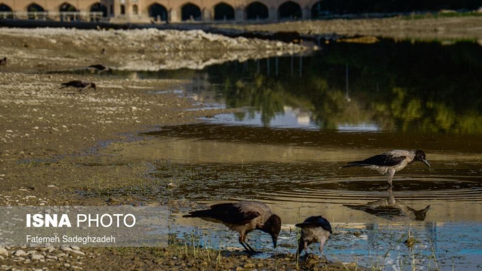 بدرود زاینده رود