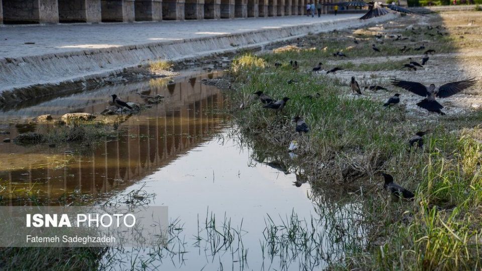 بدرود زاینده رود