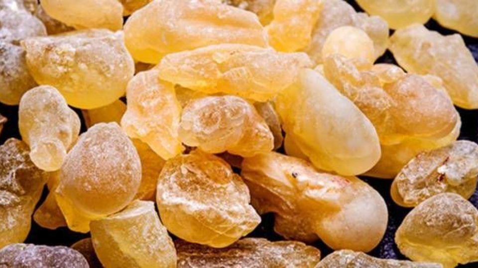 ۱۸ مزیت مصرف "کندر" برای درمان انواع بیماری