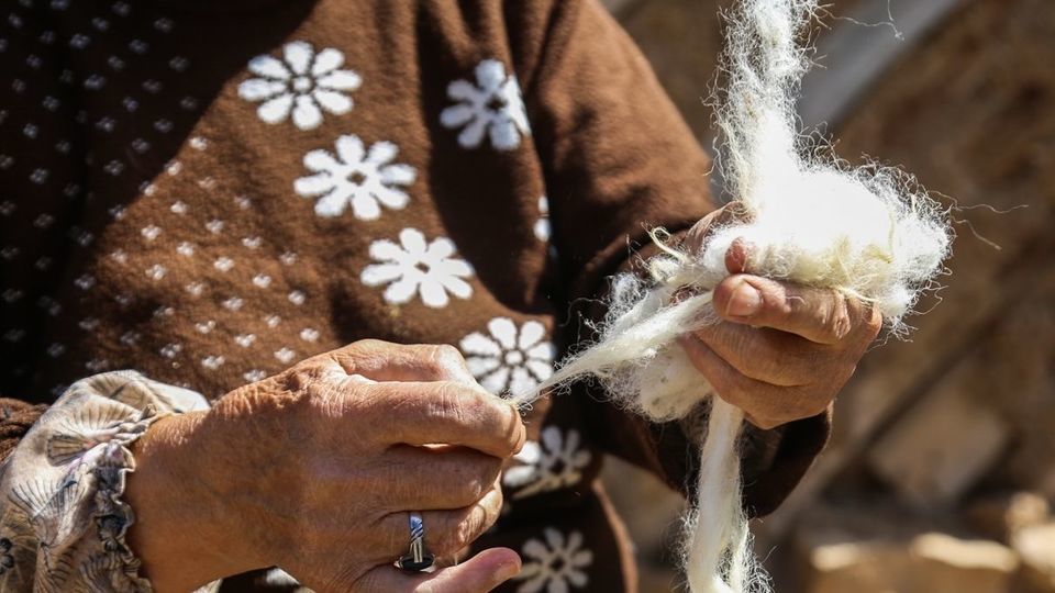 پشم‌چینی گوسفندان - رودبار