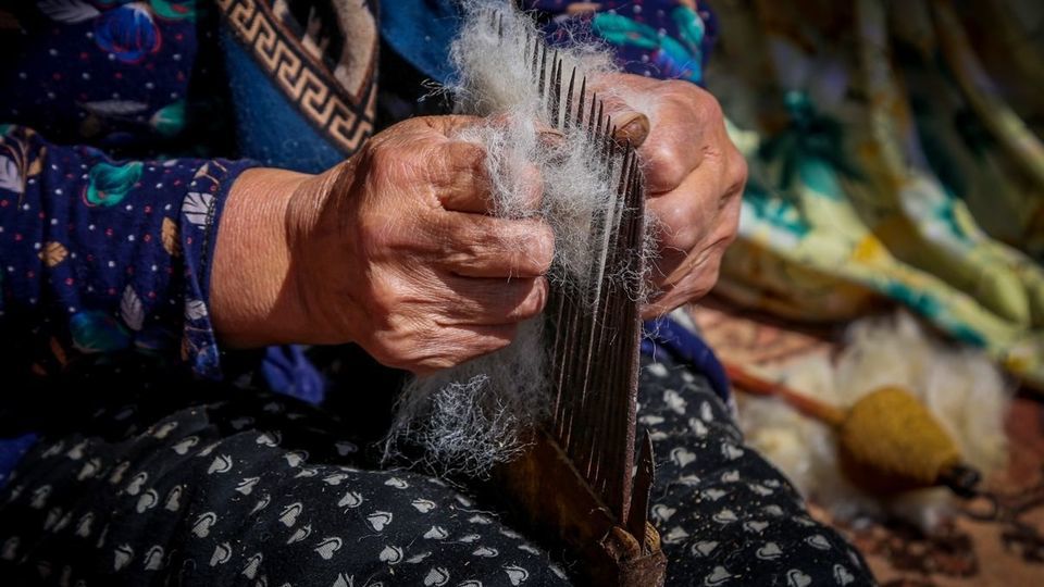 پشم‌چینی گوسفندان - رودبار