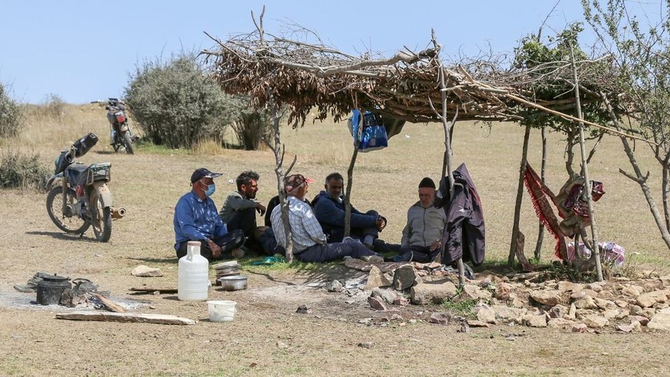 پشم‌چینی گوسفندان - رودبار