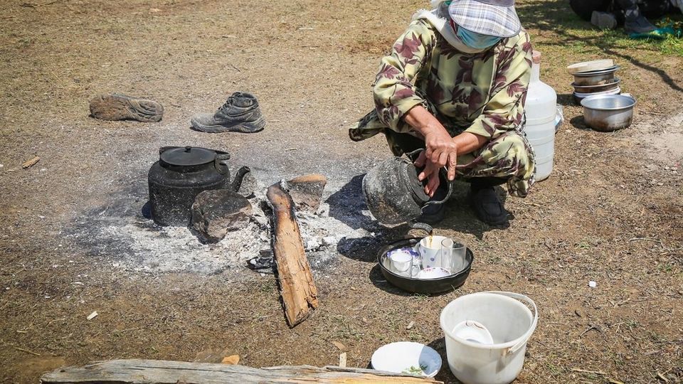 پشم‌چینی گوسفندان - رودبار