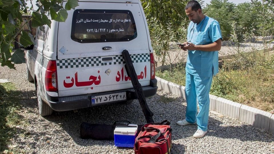 مرکز تیمار و نگهداری حیوانات - کرج