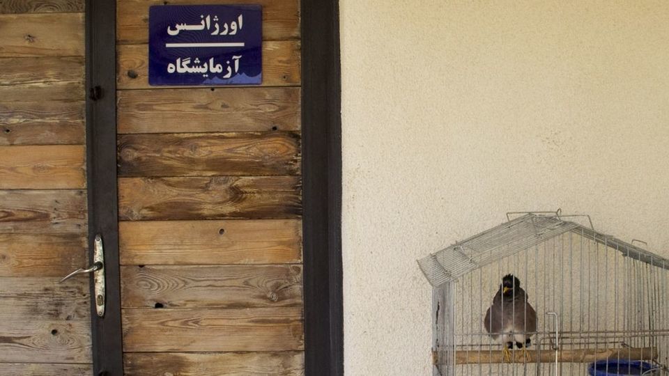 مرکز تیمار و نگهداری حیوانات - کرج