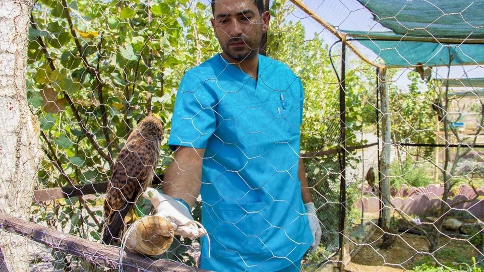 مرکز تیمار و نگهداری حیوانات - کرج