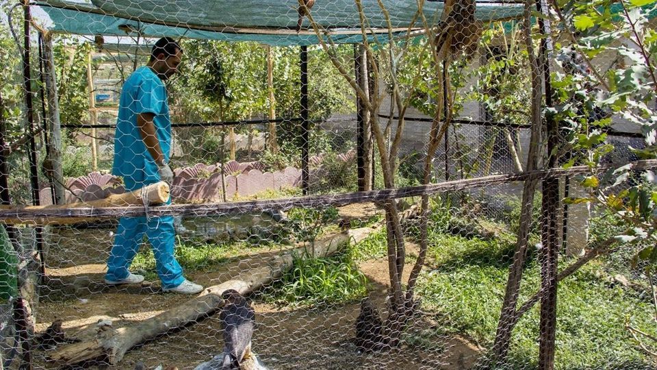 مرکز تیمار و نگهداری حیوانات - کرج